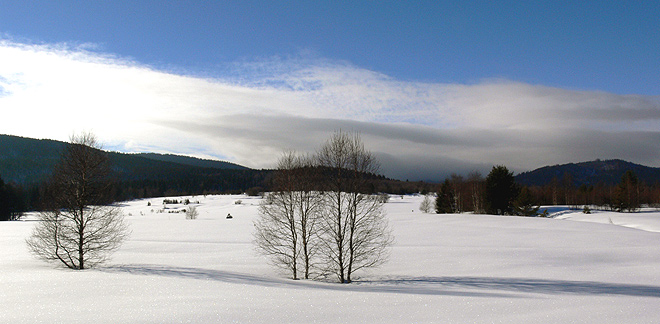 Při silnici do Prášil...