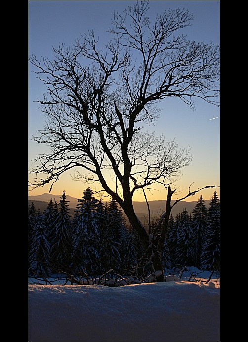 Podvečer na Zhůří