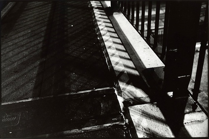 půlnoční stínohra