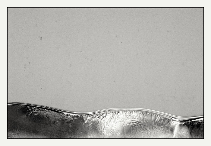 -20°C II