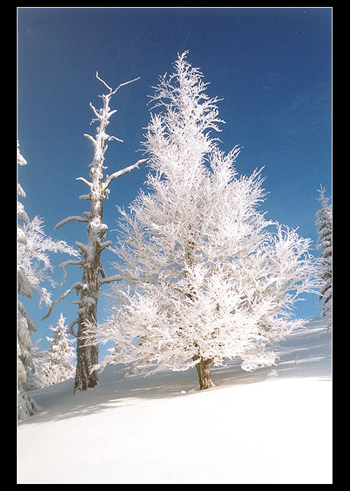 Košariska - Velká Fatra