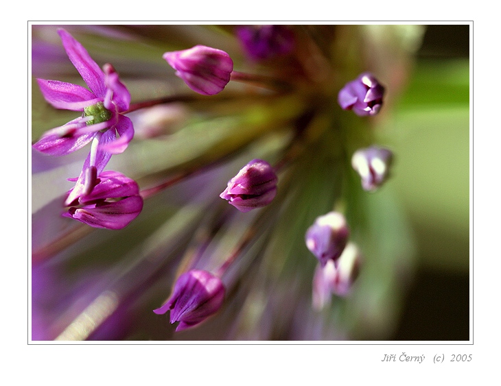 Letím za světlem II.