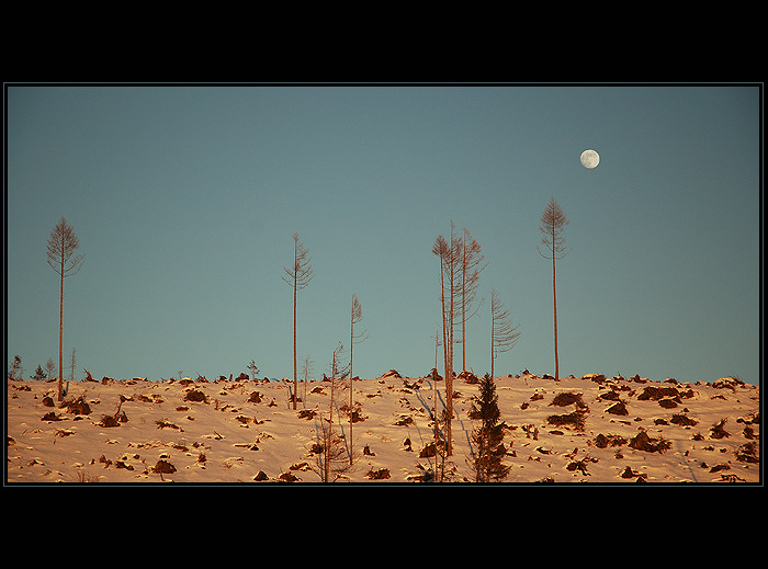 -|----|--|-----| ---