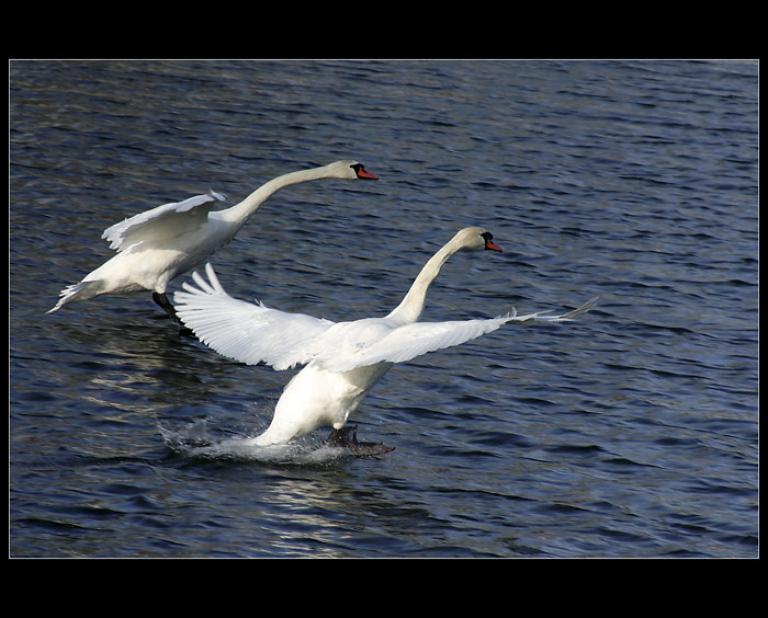 Lyžovačka na vodě