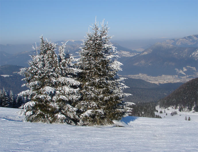Rozumberok Hrabovo II
