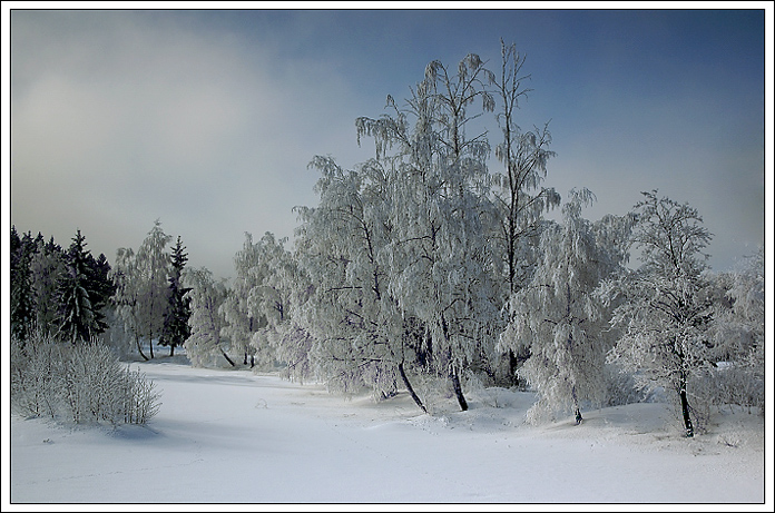 království paní zimy