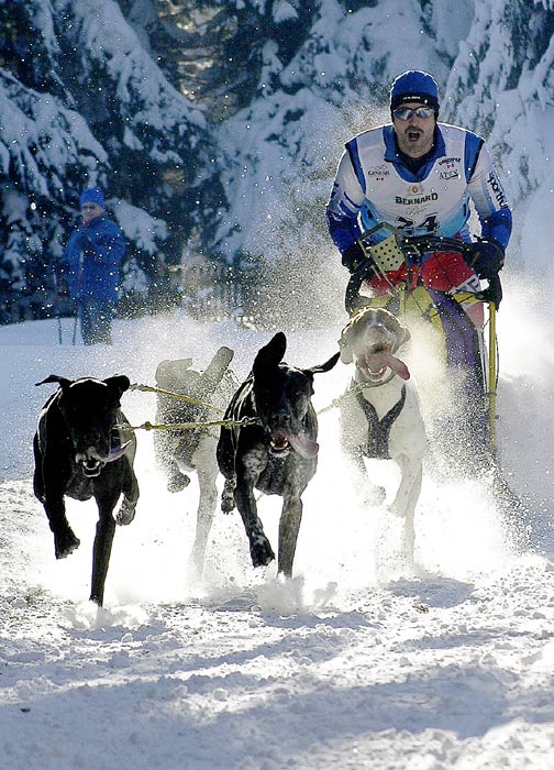 Zima, ze bys psa nevyhnal...