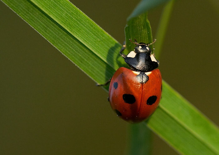 \"křižovatka\" života...