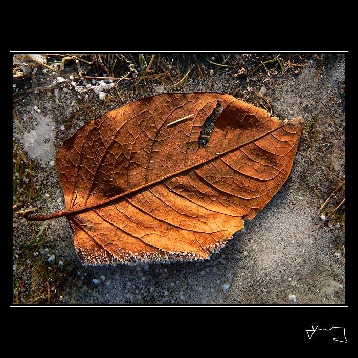 Furt mrzne a mrzne...
