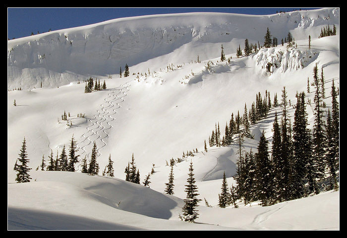 Virgin snow...