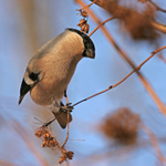 Počkej! Se jenom takhle ... eh ... přešoupnu...