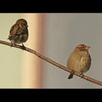 A dneska na mě nemluv!