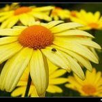 Já jsem malej, ale šikovnej