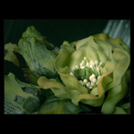  - plastic flower -
