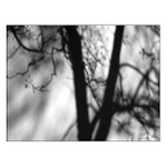 Zrovna promítali...