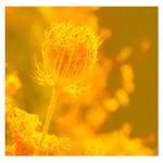 Slunce je tu pro všechny