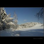 Unavení