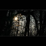 Za rybníkom podvečer