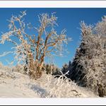 * Horní Světlá I.*