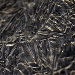 Vymyšlenosti - stopy hlodavce