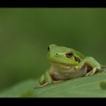 Říkám ti dej to pryč !