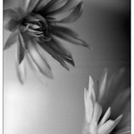 tak promiň, stůj, neodcházej!