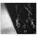 Vyhřívám se na slunci