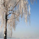 rano po noci inverze a mrazu