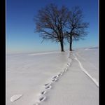 Tajemná stopa v Karpatech