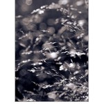 ** OSPALÉ NĚŽNOSTI **