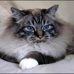 Oči světového vítěze