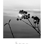 VEČERNÍHO SVITU ČAS