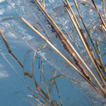 Když zima čharuje....