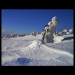 * sněhová housenka *