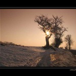 Slunce svit marně útočí..