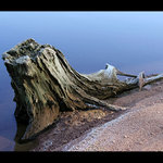 Vzdorující živlům z posledních sil