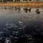 .:Město vs Příroda:.