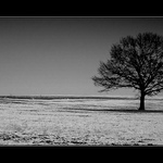 .:Opět jeden samotář:.