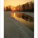 Rybník na Třemešku