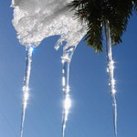 Slnká v Cencúľoch