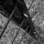 Koroze kovu muze byt i krasna vec...