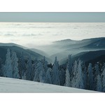 Pohled z Krušných hor