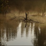 Mlhavé když je ráno...