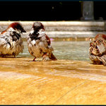 tak co, kdo tam skočí jako první?