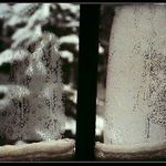 Brrr -  zima za oknem....