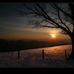 .. předvánoční..