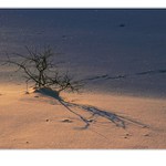 .. 30 sekund po východu slunce ..