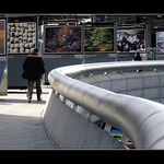 Fotka ekologicko moralizující