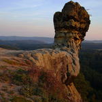 čáp