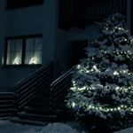 Stromek pred naším domem